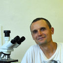 Tomas Derka