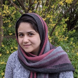 Reihaneh Torkzadehmahani