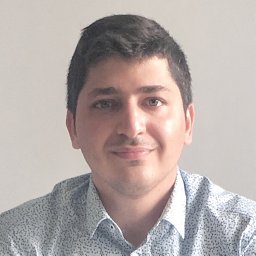 Sina Alisamir