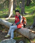 Ping Chen