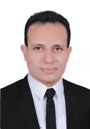 Hany S. EL-Mesery