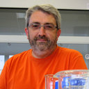 Albert Adell