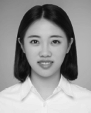 Ya Liu