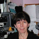Maire A Duggan