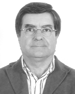 J. L. Martins De Carvalho