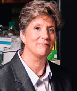 Maureen E. Murphy
