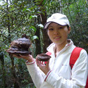 Chunying Deng