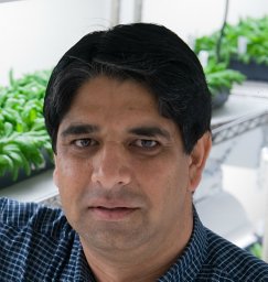 Ramesh Raina