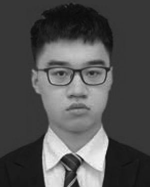 Chengzhen Meng