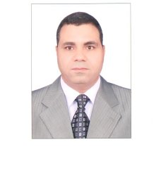 Hassan A. Arida