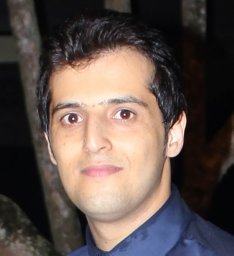 Marvibaigi Mohsen
