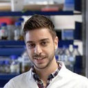 Alex Phokas