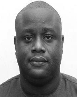 Kolawole S. Ogunba