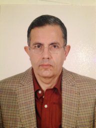 Aref Hany A