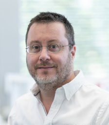 Dominik J Schaer