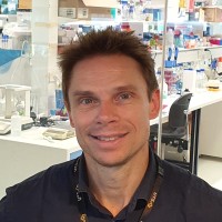 David Suggett