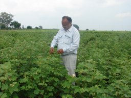 Anu Raju