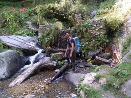 Amreesh Parvez
