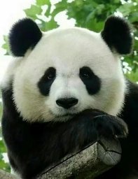 Chong Zhang