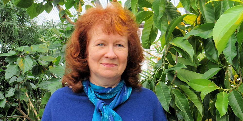 Linda J. Wykes