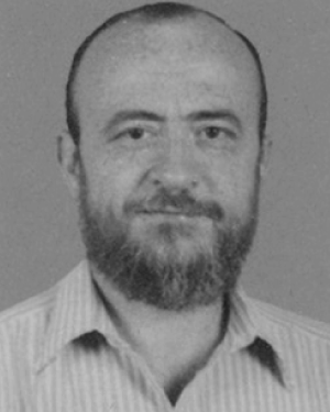Hazem M. Raafat