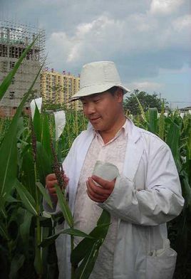 Haibing Yu