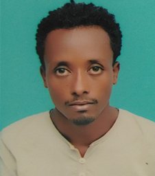 Getu Endale