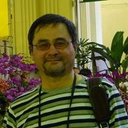 V. I. Mashanov