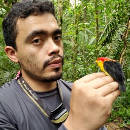 Camilo Alfonso