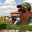 Serrano Luiz Augusto Lopes