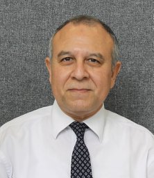 Ibrahim G. Shaaban