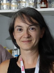 María Concepción Serrano