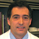 Paul C Edwards