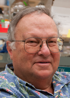 Stephen Heinemann