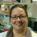Lisa M Shollenberger