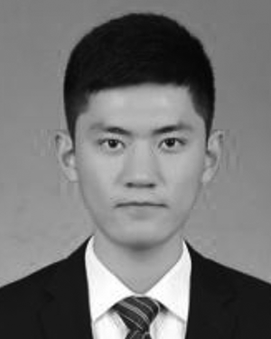 Feng Qi