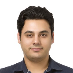 GhavamiNejad Amin