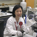 Hui Hua
