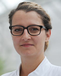 Rosa Schmuck