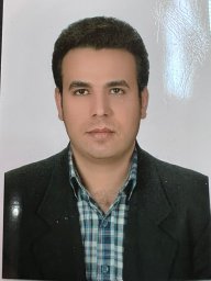 Hosseini Sayed Mohsen