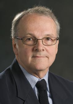 Lawrence T. Drzal