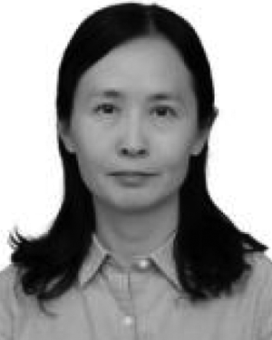Qibin Feng