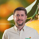 Franklin Behlau