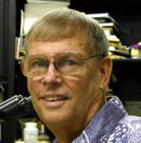 Robin Overstreet