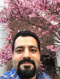 Ehsan Meamari