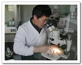 Jianquan Chen