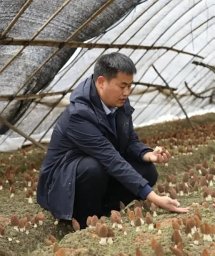 BangXi Zhang