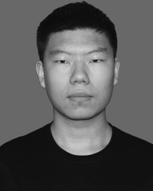 Yan Wang