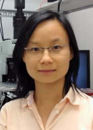 Yanhua H Huang