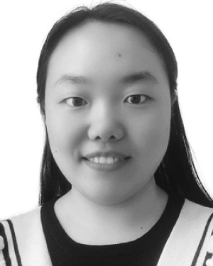 Li Meilin